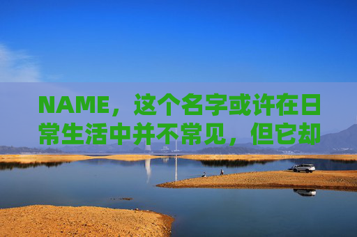 NAME，这个名字或许在日常生活中并不常见，但它却在某些领域里扮演着重要的角色。今天，让我们一起来探索这个名字背后的故事和意义